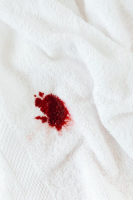 Close-up of a white textured towel with a fresh, small bloodstain in the centre, indicating a minor injury during home relocation or packing activities. The towel's surface shows a soft, woven fabric with subtle ridges and folds, set against a neutral background. The bloodstain is bright red and irregularly shaped, with slight smudging around the edges, suggesting recent bleeding. This image might relate to packing and moving scenarios where safety precautions are important, such as handling sharp objects or furniture. Man With a Van Tolworth provides professional removals services, including packing, lifting, and transporting household items, ensuring safety and efficiency during house moves or furniture transport. The image emphasizes careful handling of items and awareness of potential hazards in the moving process, aligning with the logistical aspects of residential moves, especially when managing fragile or hazardous materials.